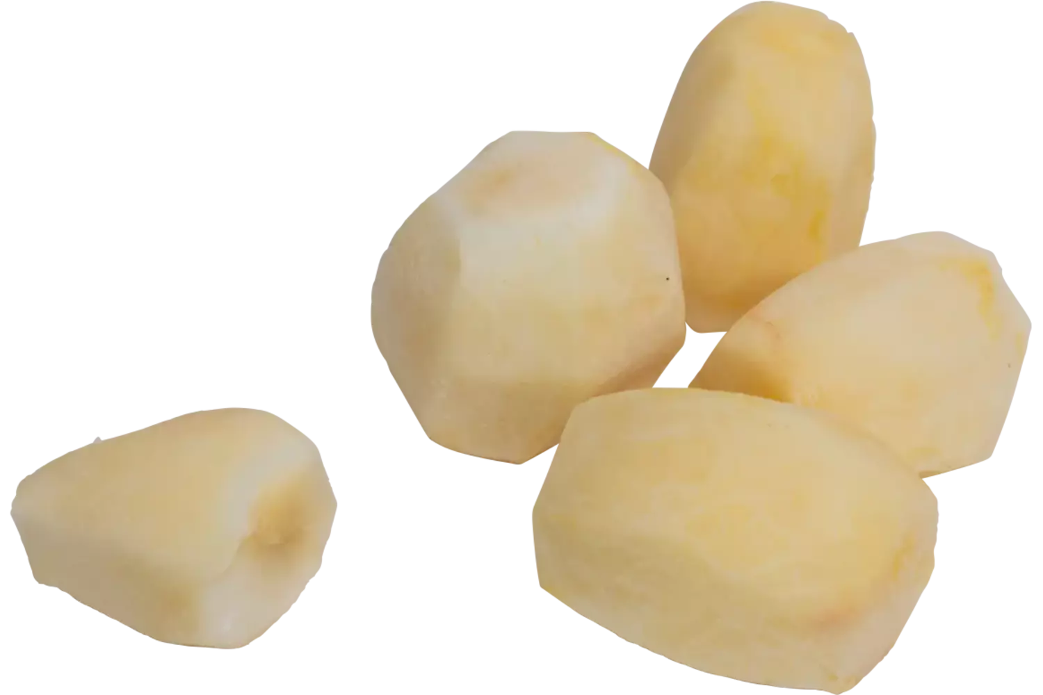 Topinamboer geschrapt zak 1kg stuk