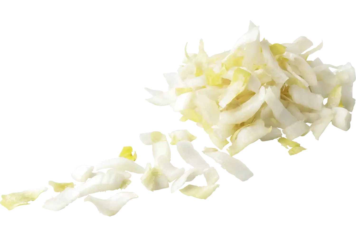 Witlof 18mm 1kg stuk
