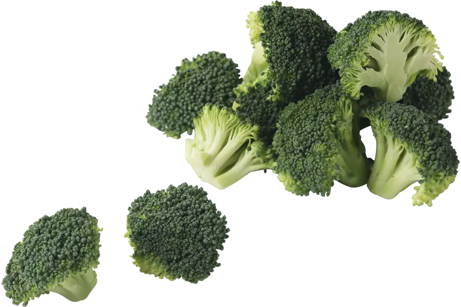 Broccoli roosjes 15-30mm 1kg stuk