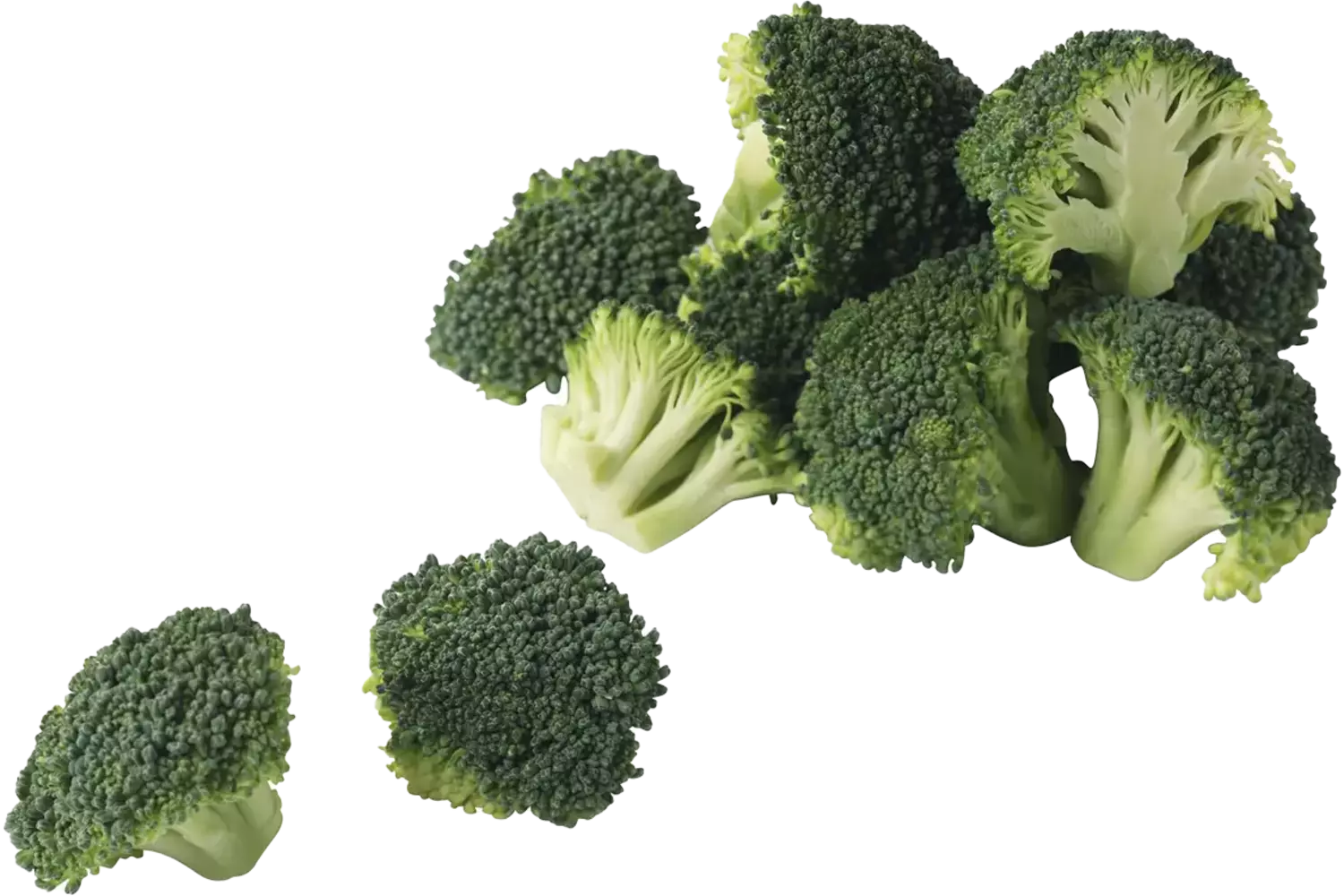 Fleurons de brocoli 30-60mm 2,5kg pièce