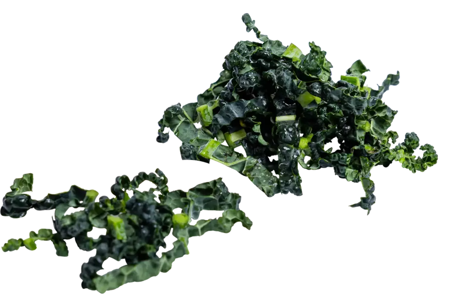 Cavolo nero 10mm bulk