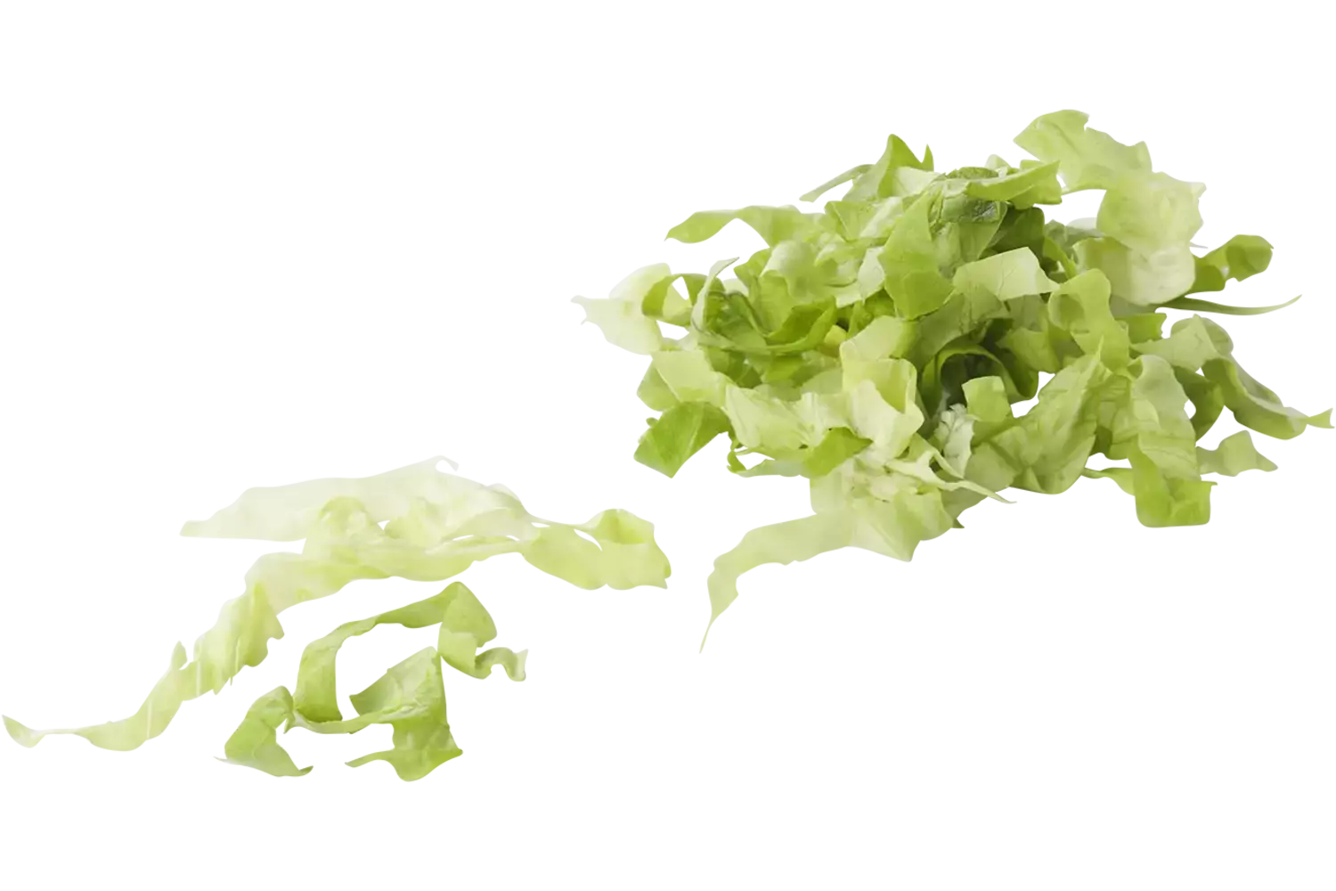 Endive 5mm 2,5kg pièce