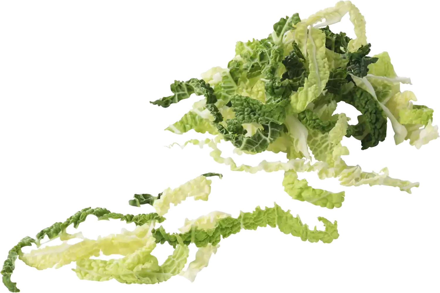 Groene kool 2x gesneden zak 2,5kg per kist 1 stuk
