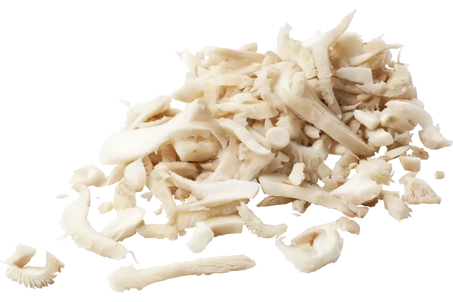 Oesterzwam gesneden zak 1kg stuk