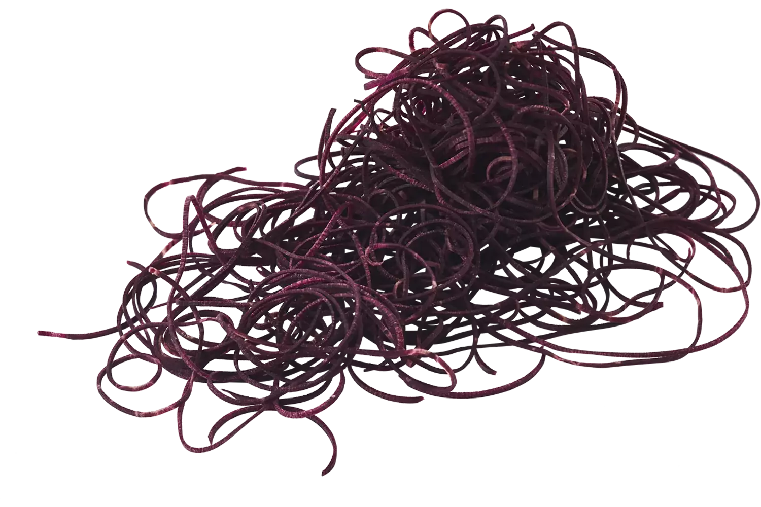 Winterpeen zwart spaghetti bak 400gr