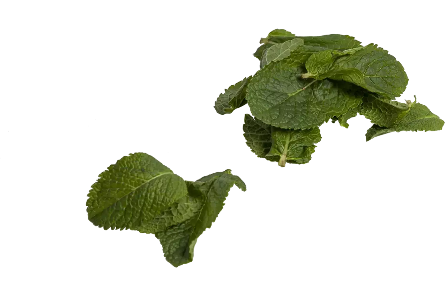 Mint blaadjes bak 250gr stuk