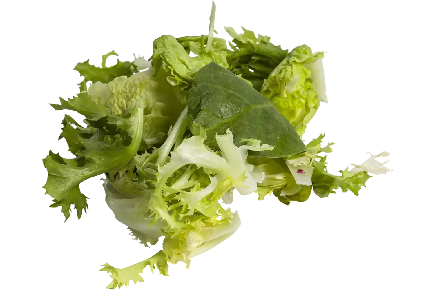 Little gem frisee mix zak 500gr stuk