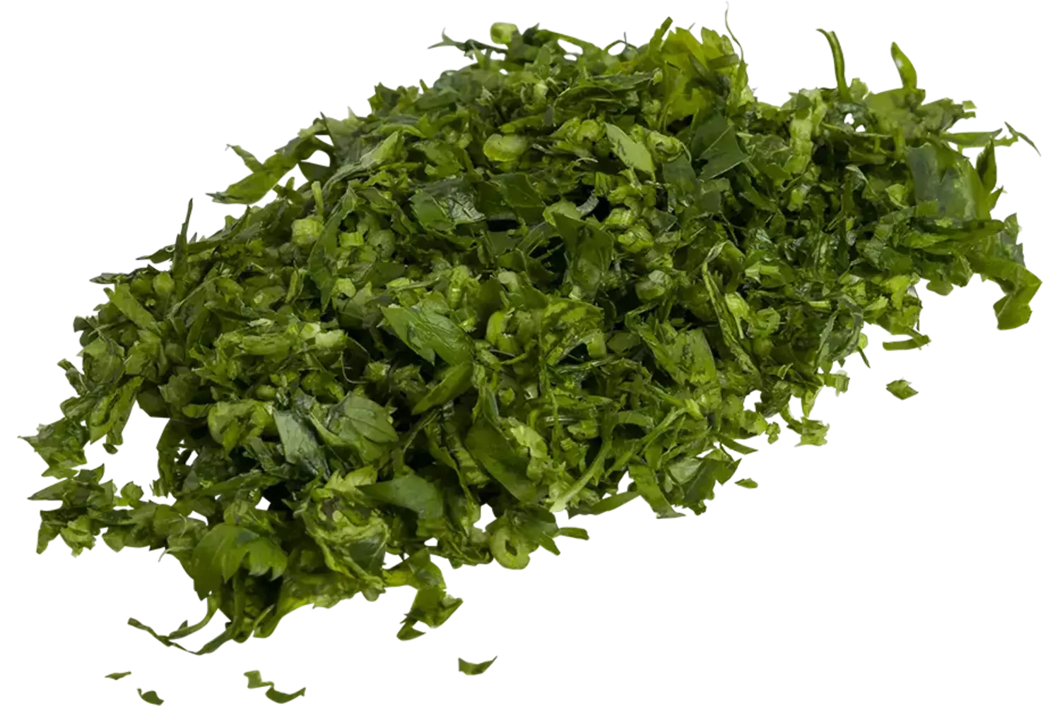 Bladpeterselie extra fijn 100gr stuk