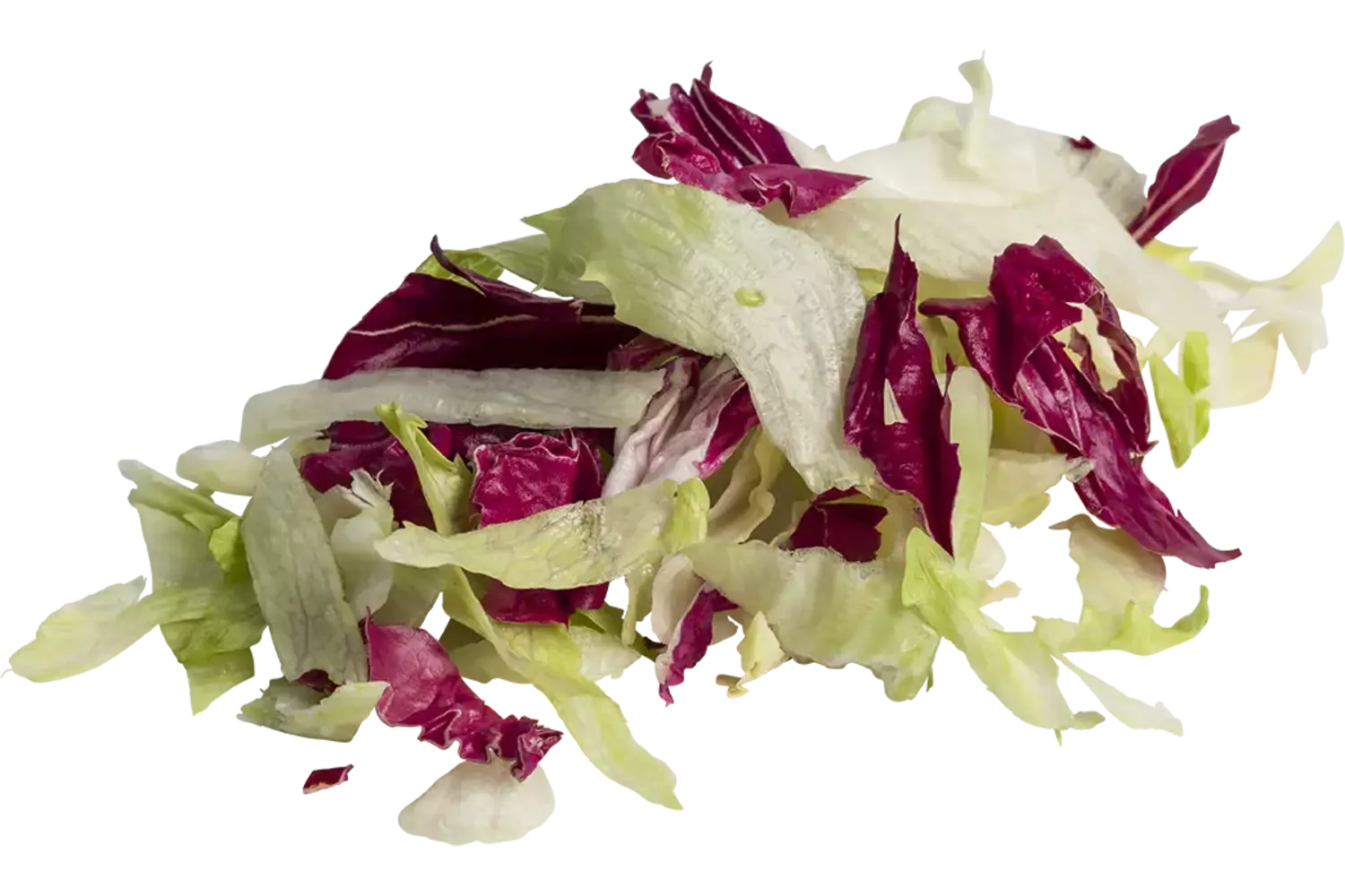 IJssla rode sla mix zak 500gr stuk