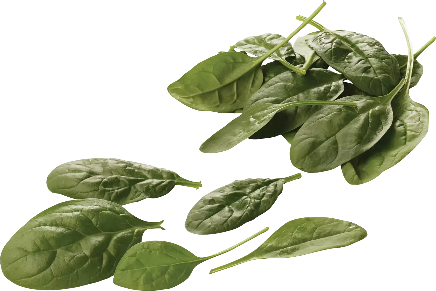 Baby spinach 125gr crade 8 pieces