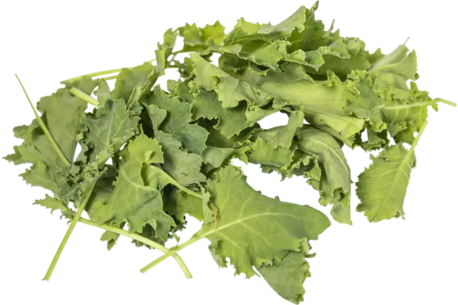 Baby green kale 125gr kist 8 stuks