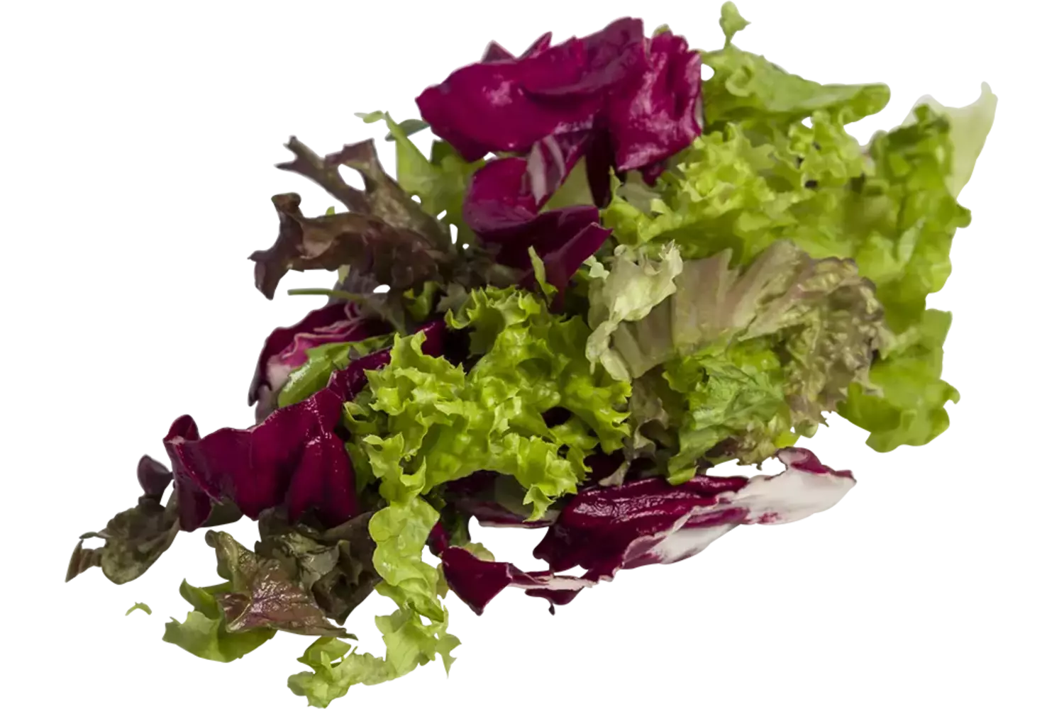 Gourmet sla mix 1 kilo stuk