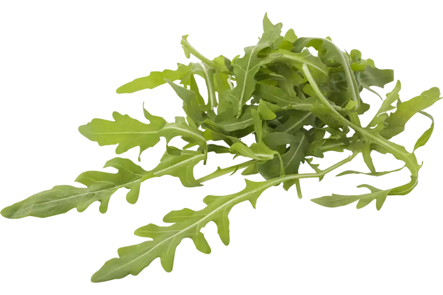 Roquette lavée 250g caisse 4pc