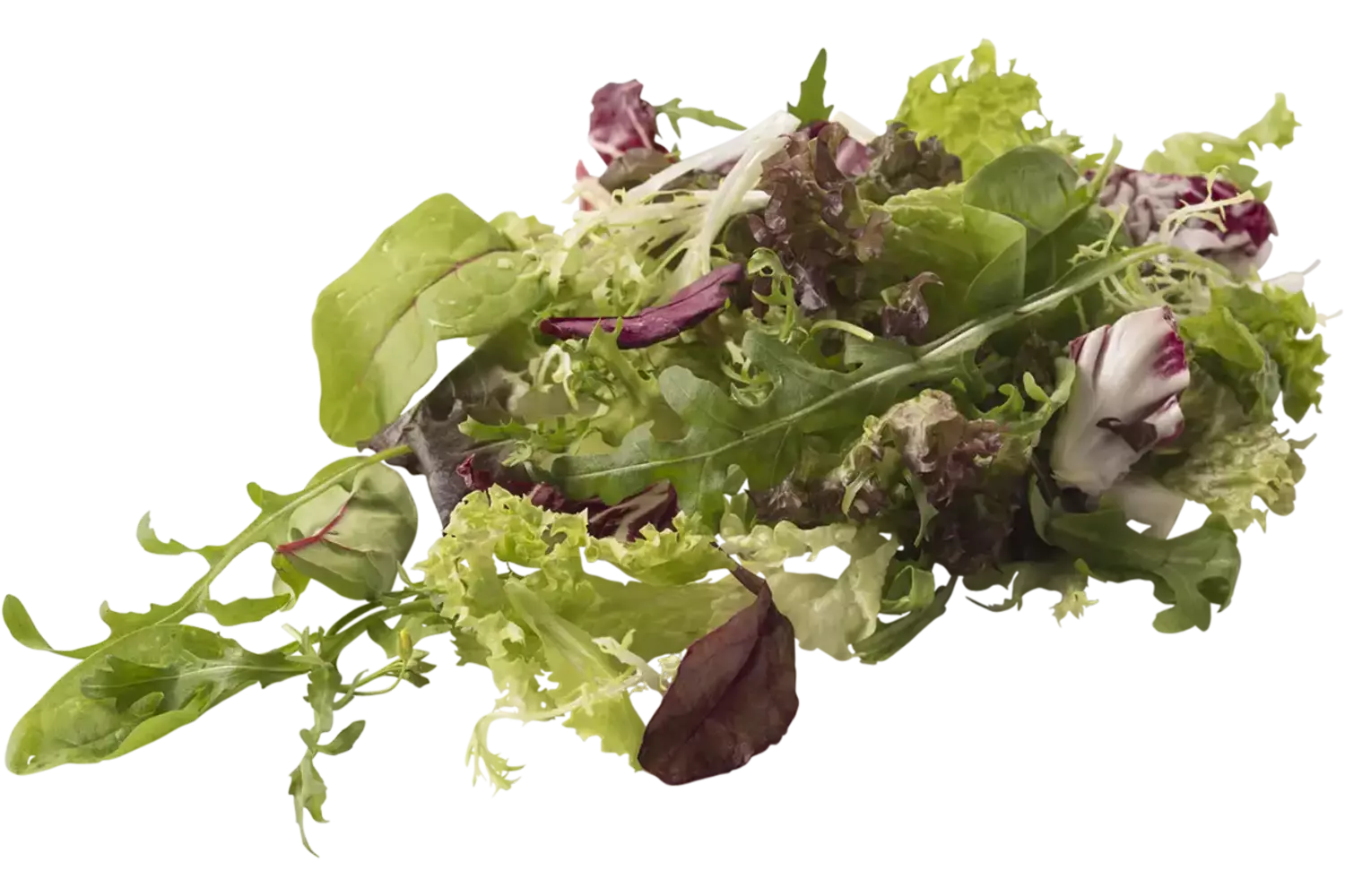 Slamix Mesclun 1kg stuk
