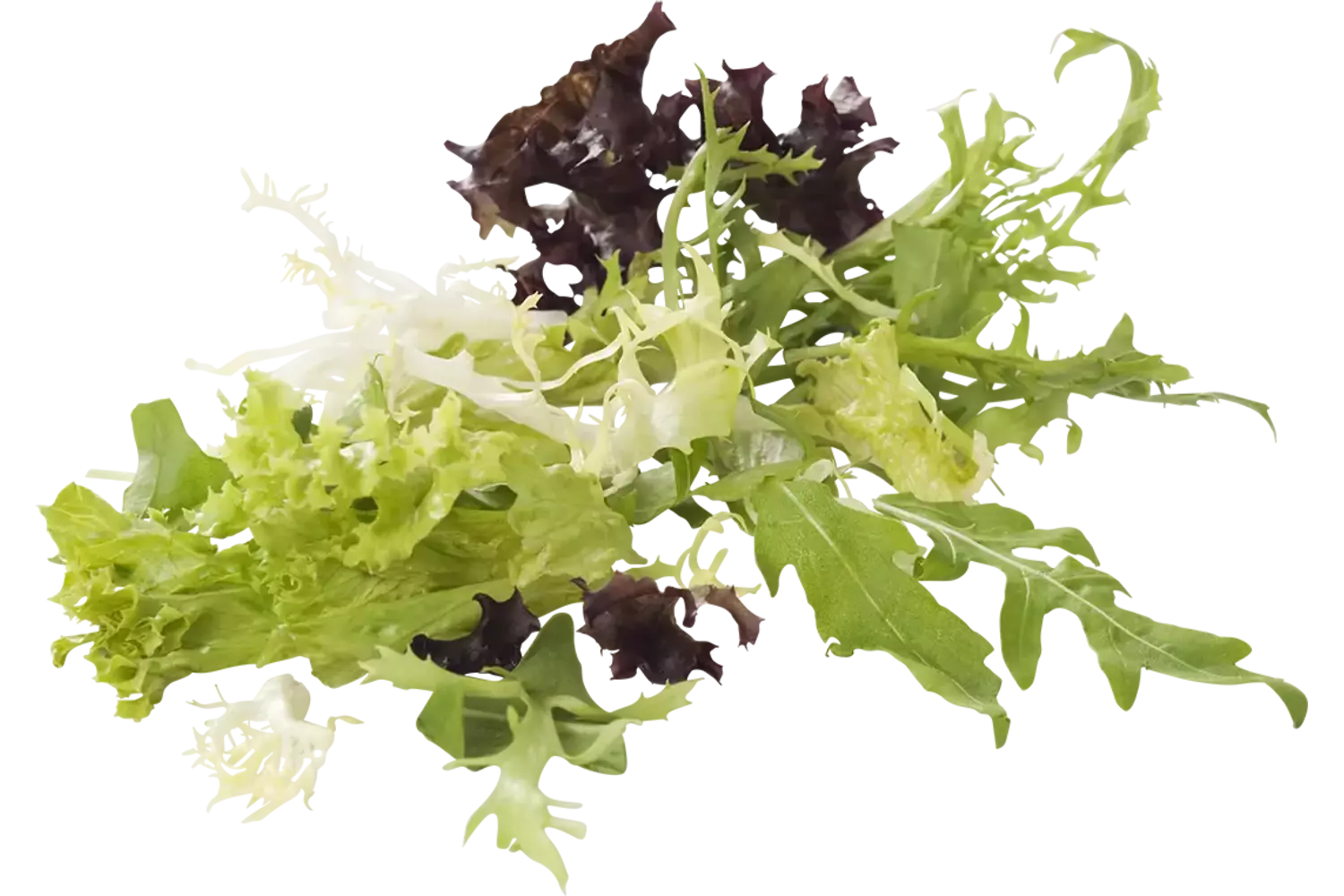 Rucola melange exclusief zak 250gr