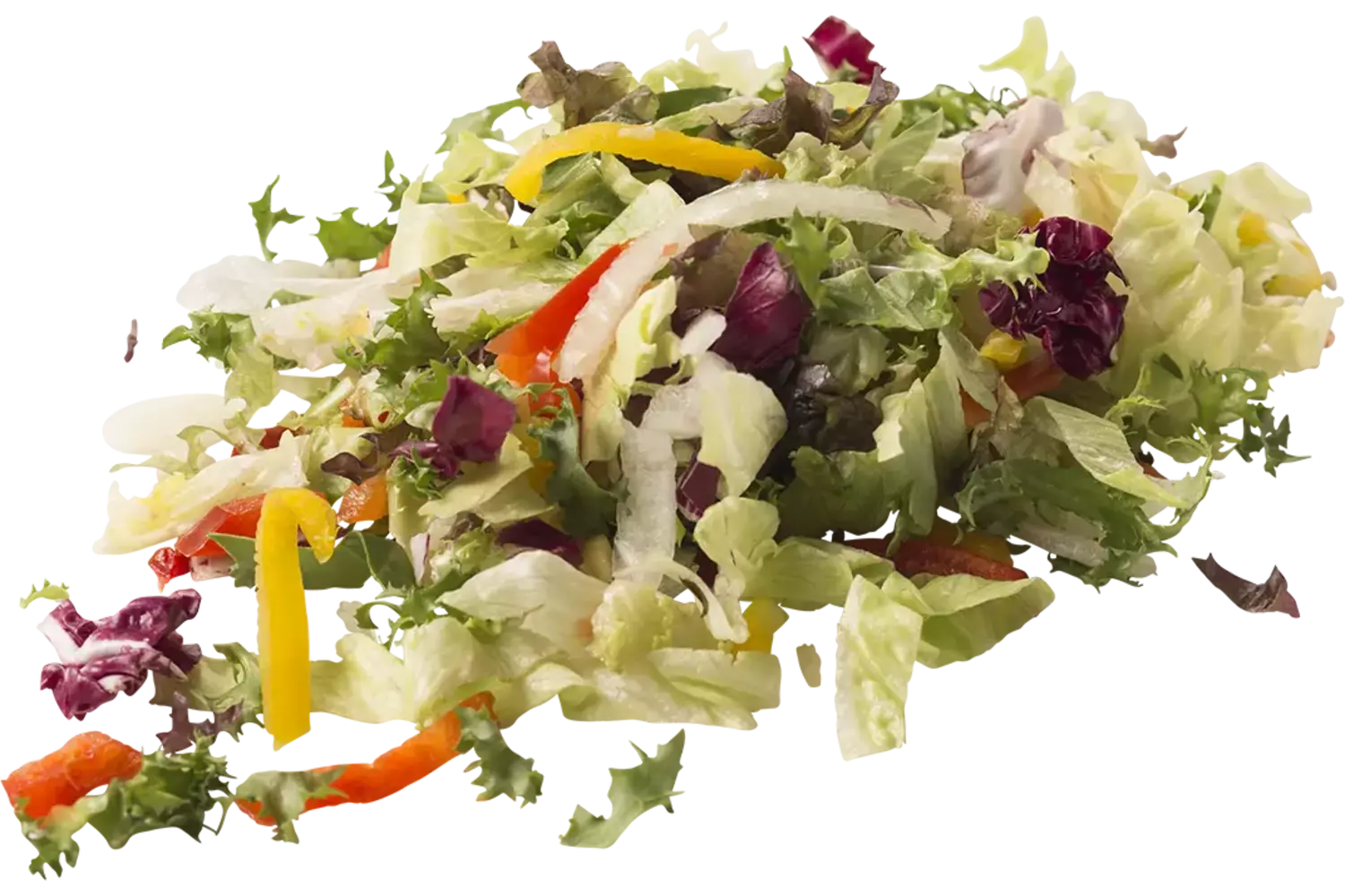 Frisee slamix zak 500gr kist 6 stuks