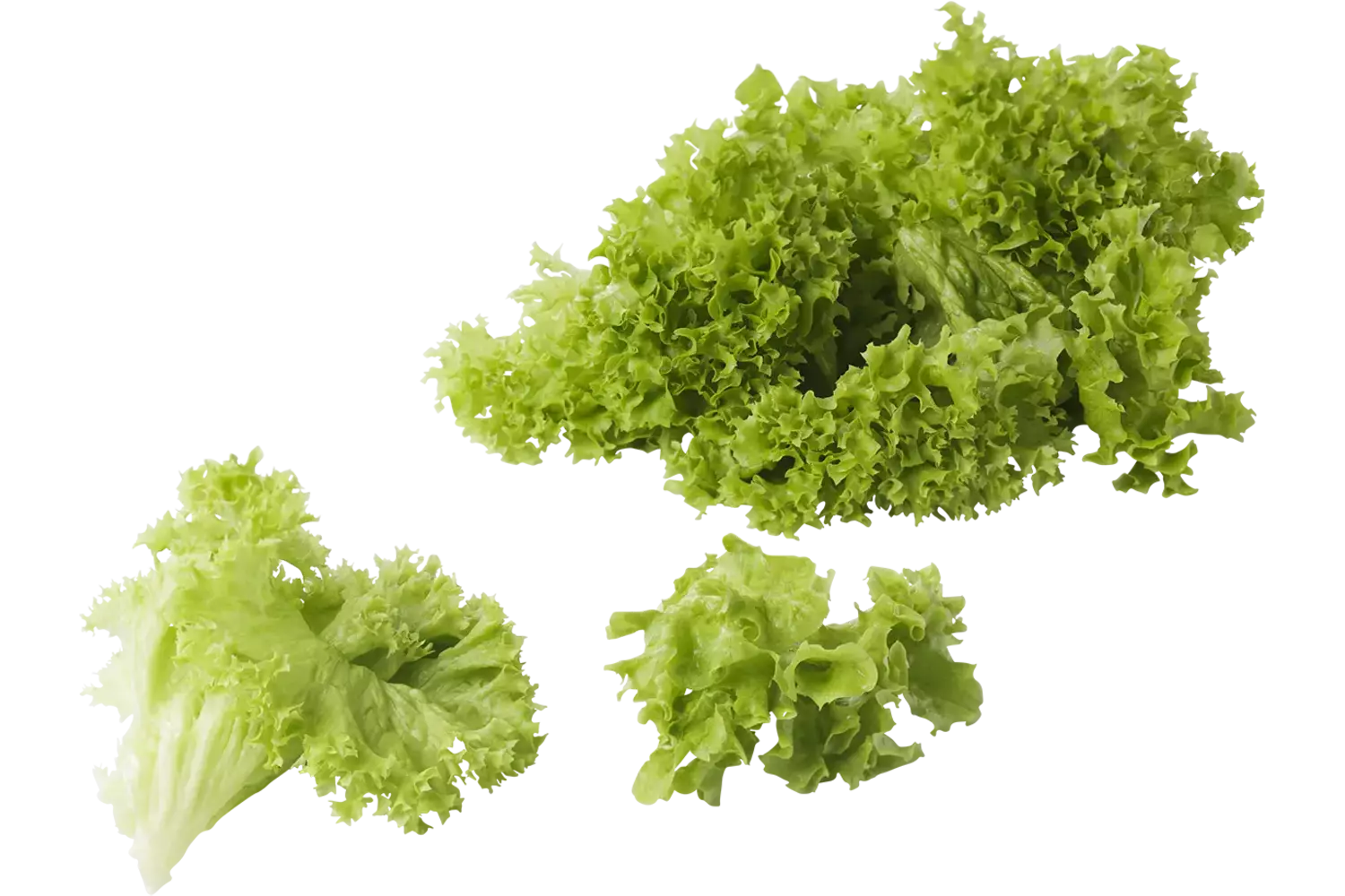 Lollo bianca gewassen zak 500gr stuk