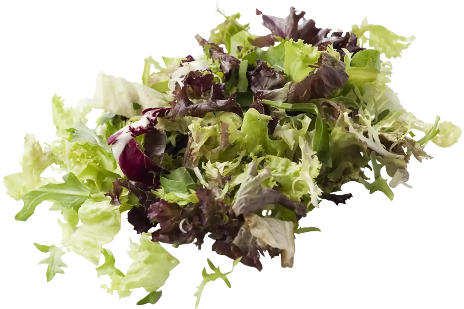 Slamix rucola zak 500gr stuk