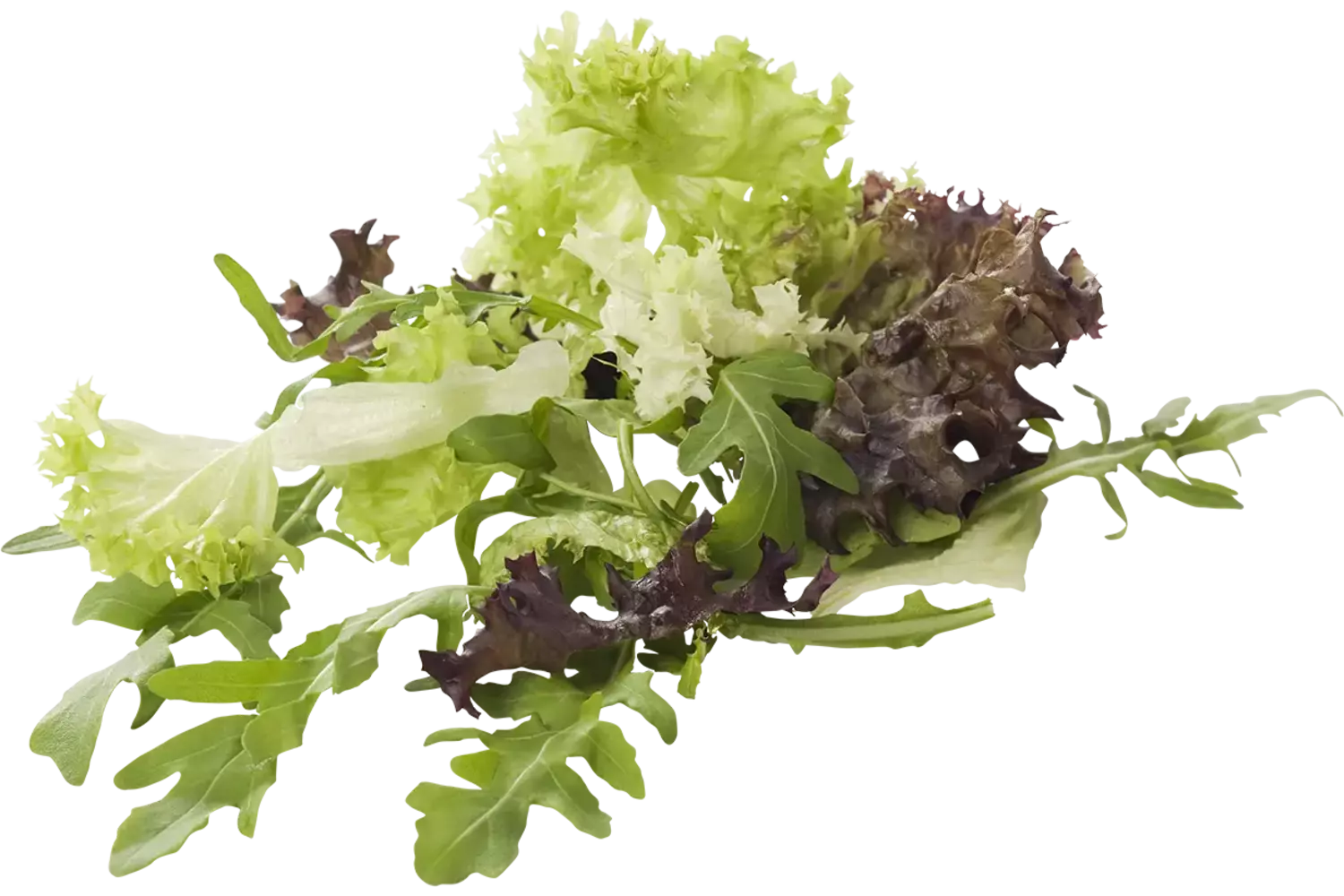 Roquette mélange garniture 1kg caisse 1pc