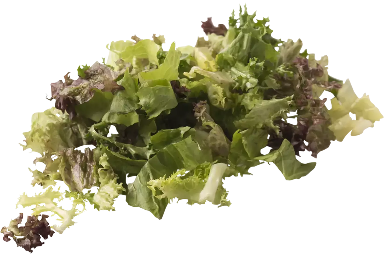 Sla speciaal zak 500gr stuk