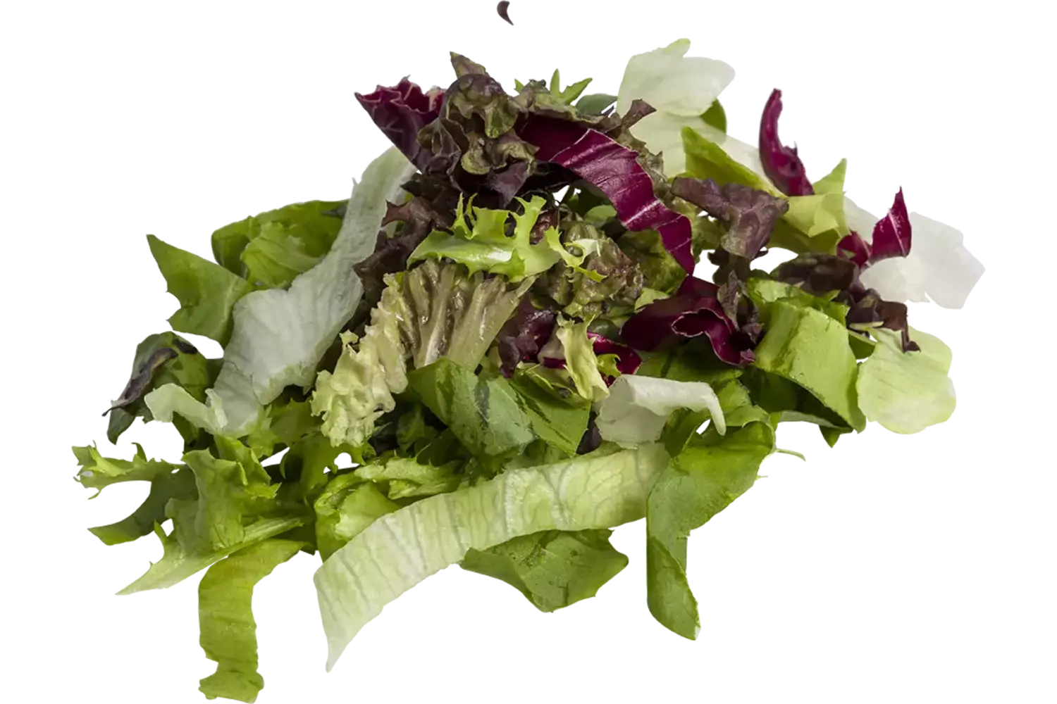 Vapiano slamix zak 1kg stuk