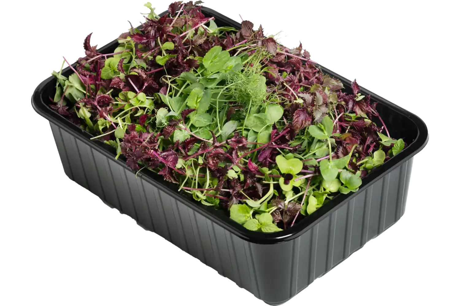 Micro leaf salad horeca mix 200gr kist 4 stuks