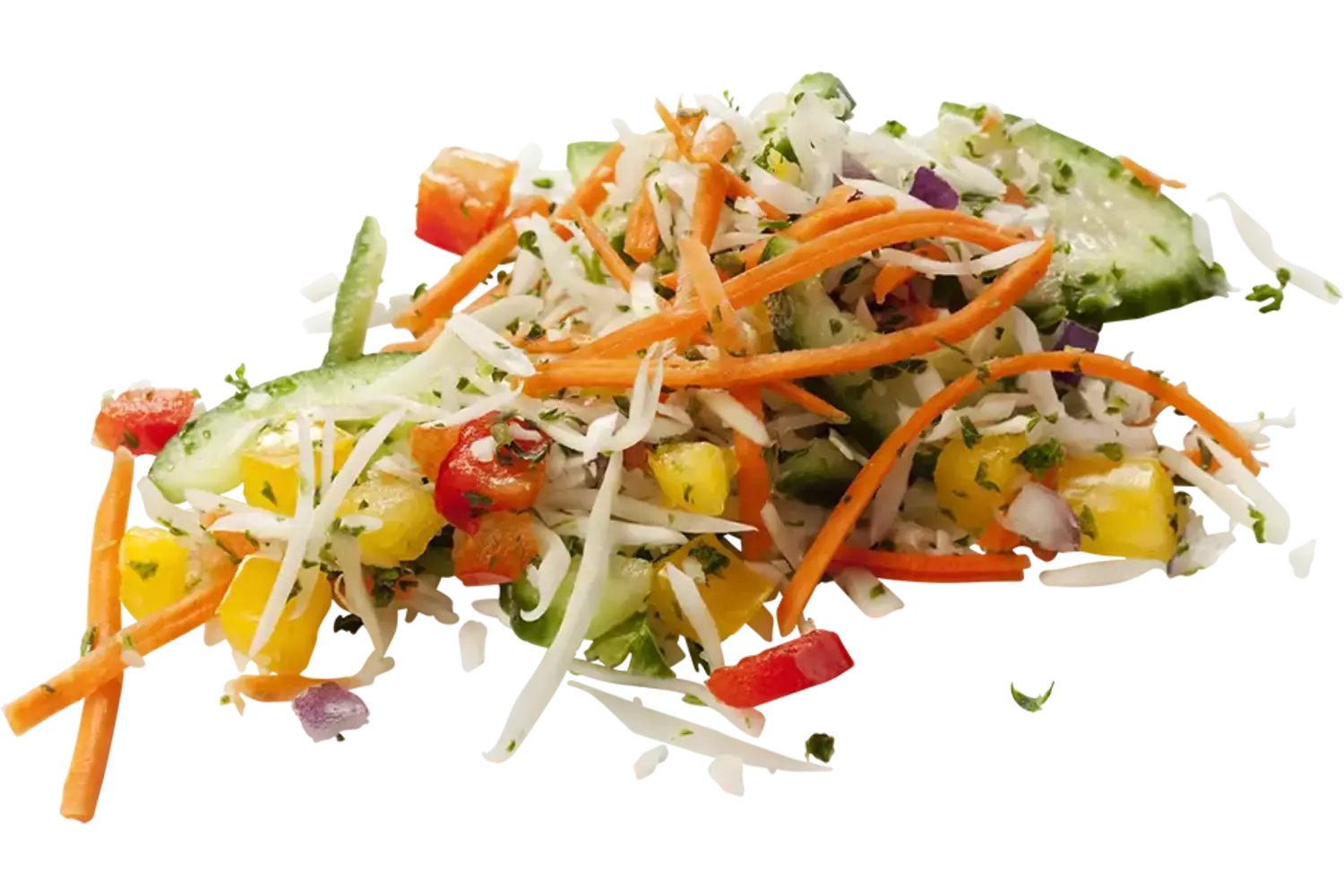 Bistro rauwkost 1kg stuk