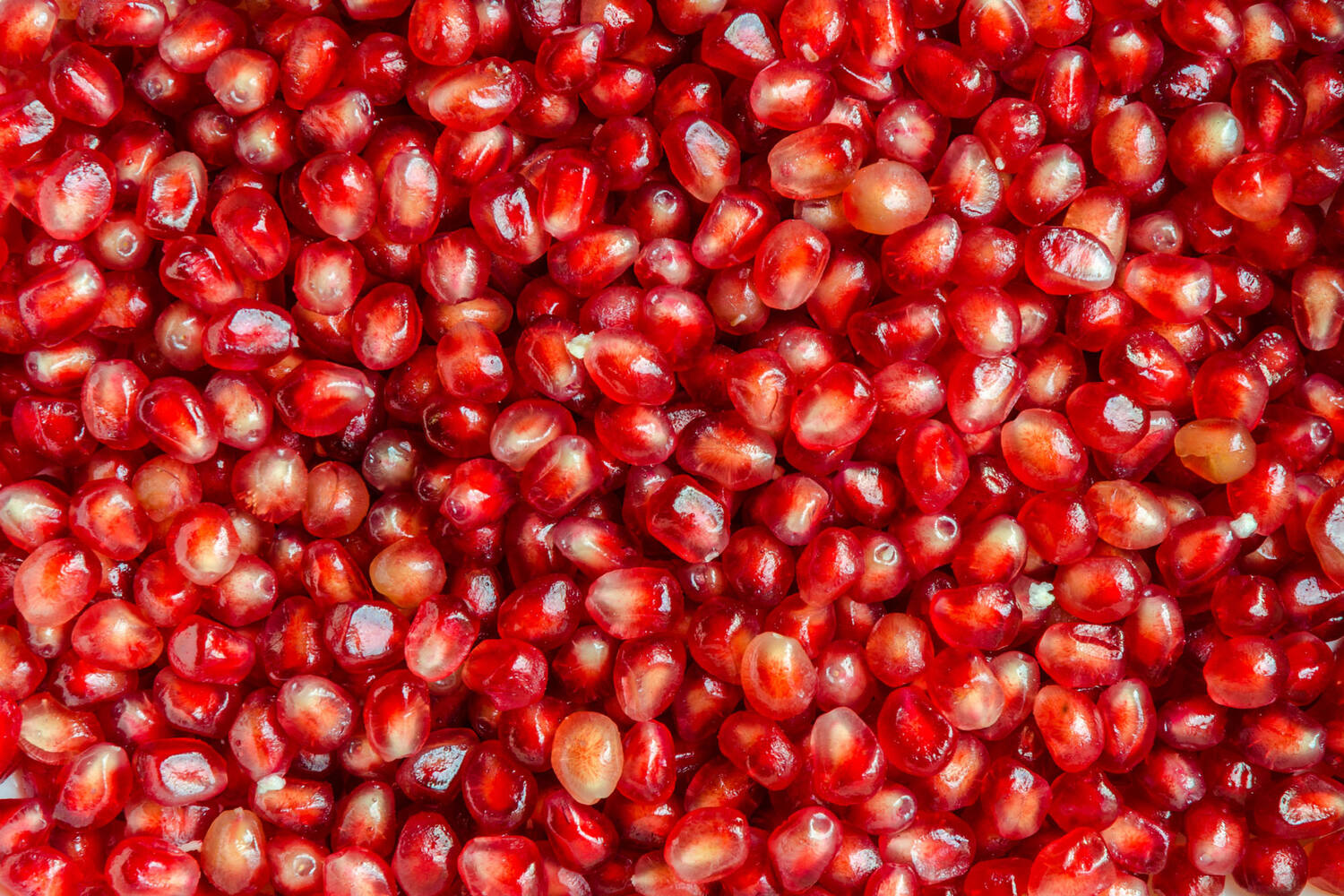 Granaatappelpitten los 1kg kist 4 stuks