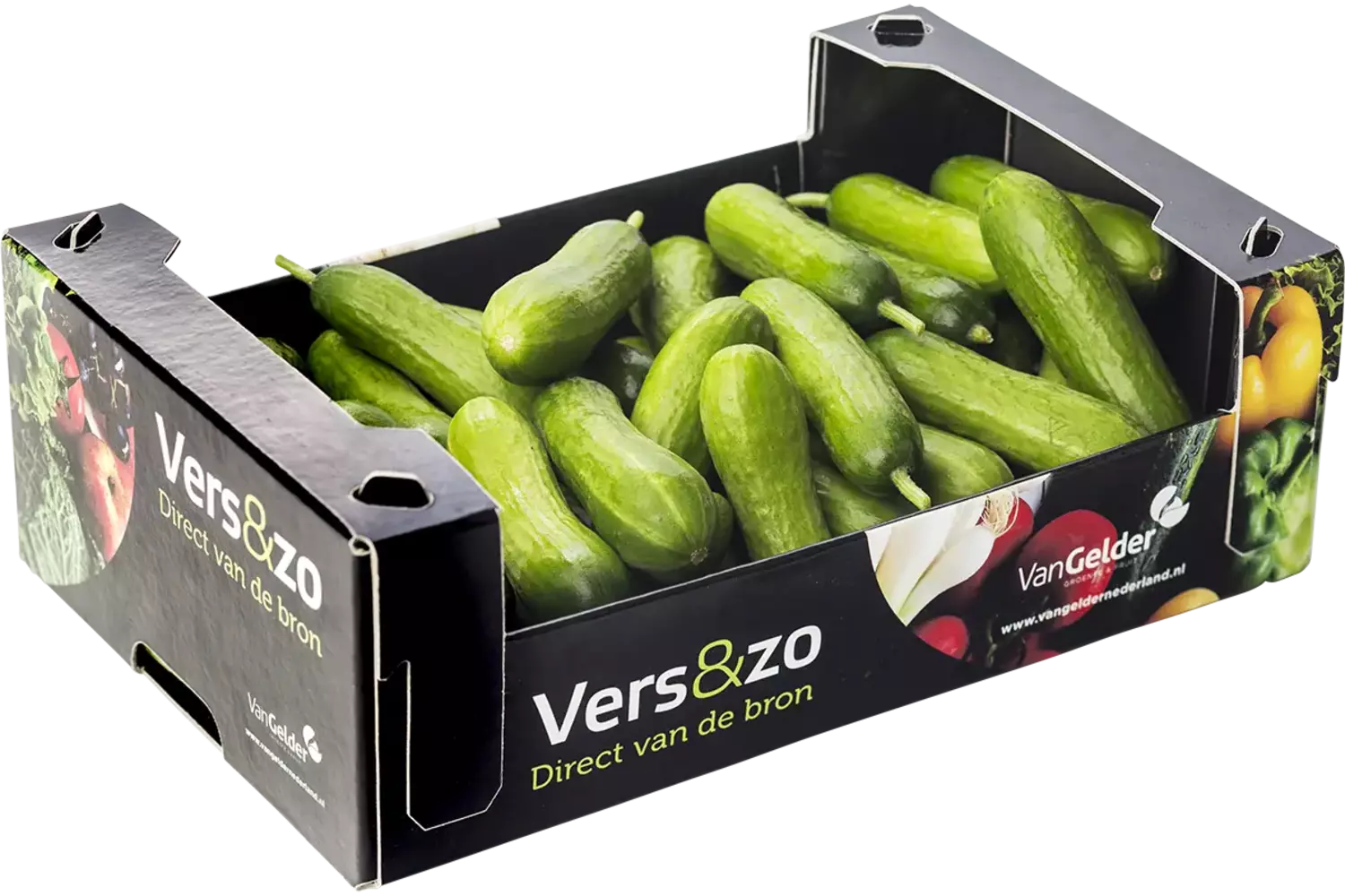 Snackkomkommer doos 1kg kist 2 stuks