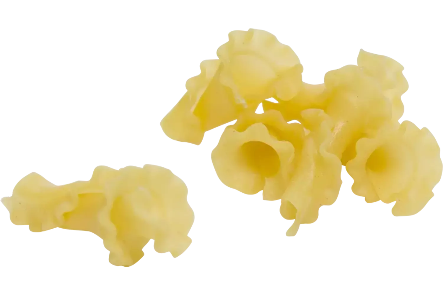 Pasta girolle 1kg stuk