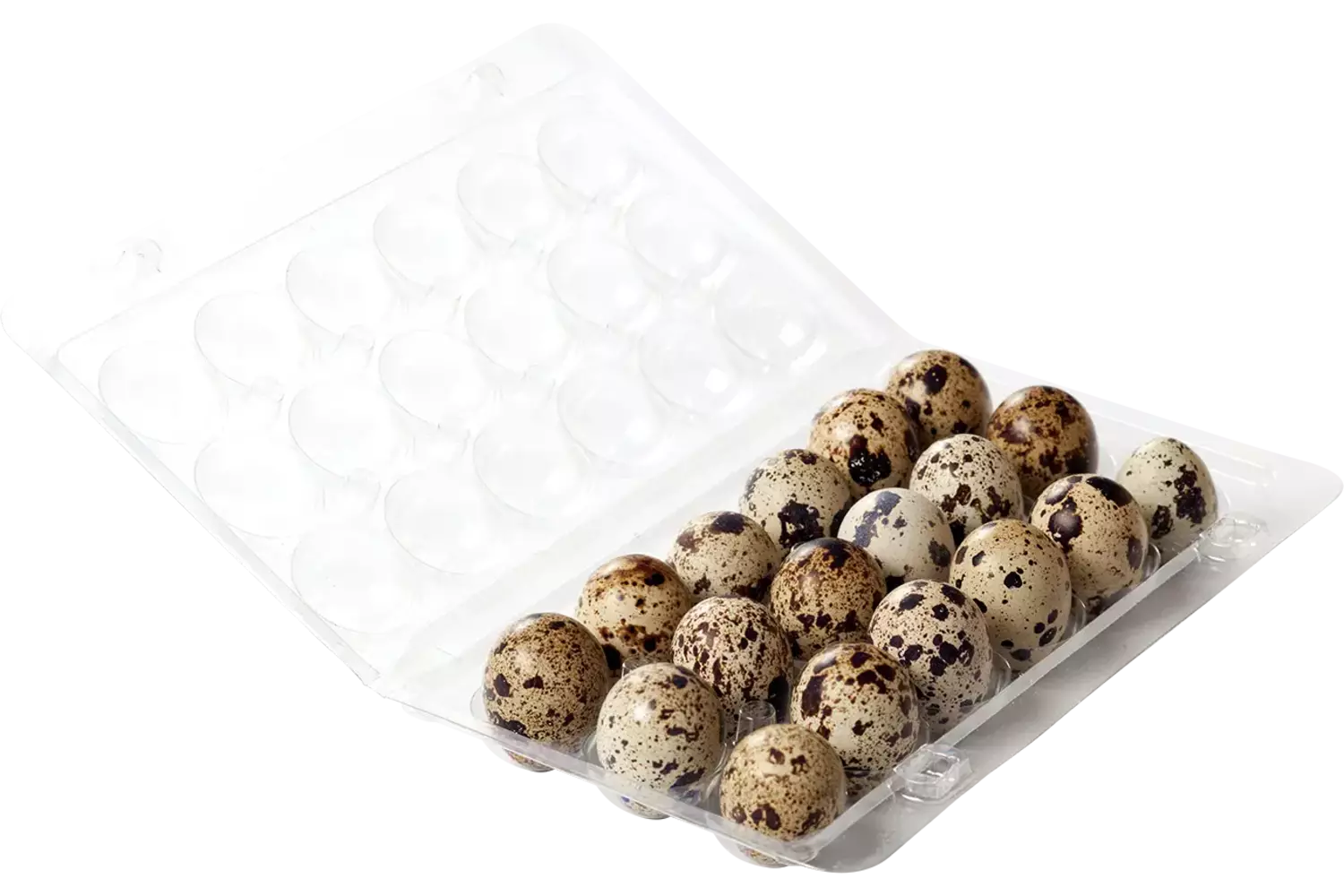 Oeufs de caille 18pc caisse 21pc