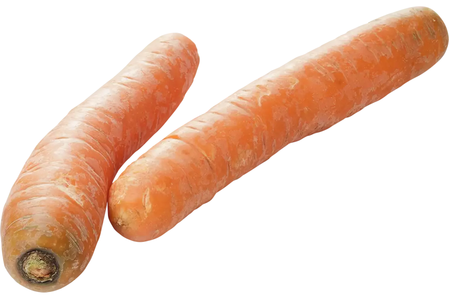 BIO Wortelen kist 5 kilogram