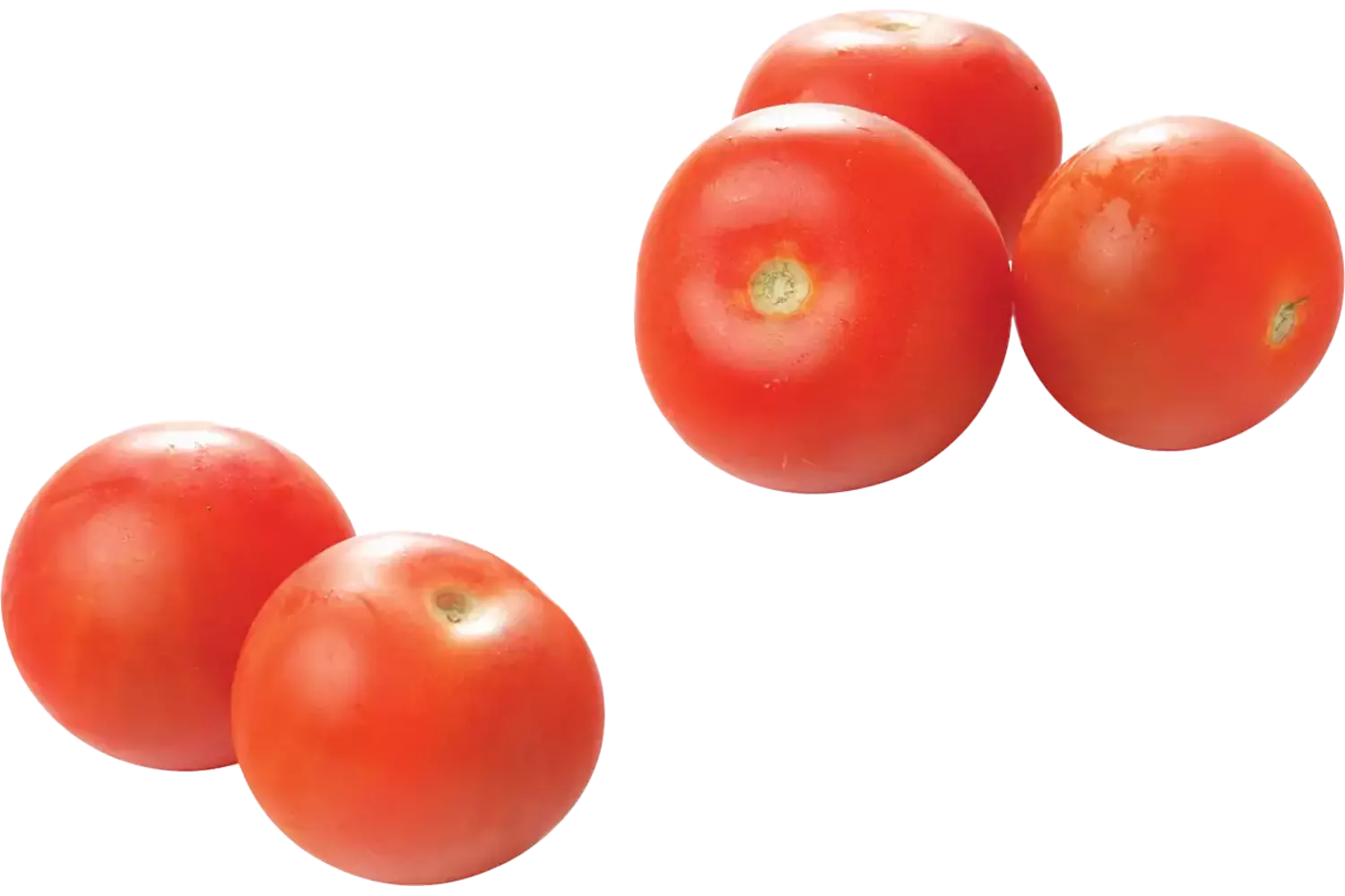 BIO Tomaten kist 6 kilogram
