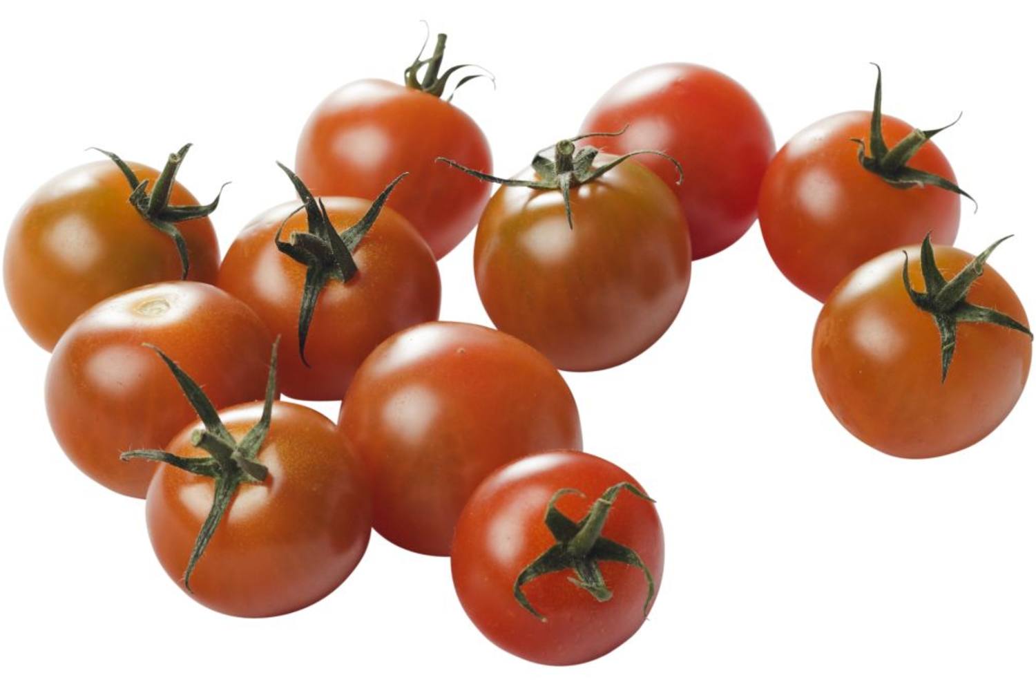 BIO Tomaten cherry 250gr stuk 1