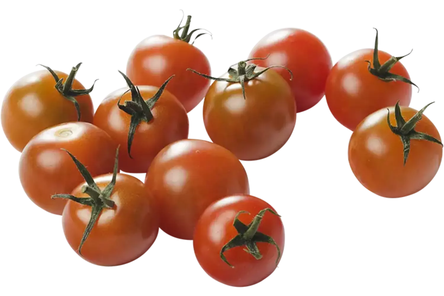 BIO Tomaten cherry 250gr kist 9 stuks