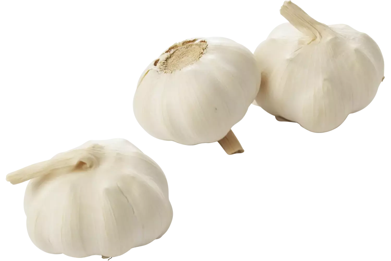 Bio knoflook verpakt 200gr stuk