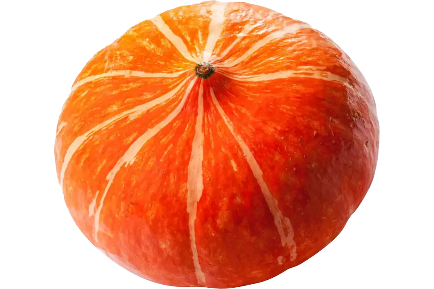Pompoen Hokkaido maat 8 stuk