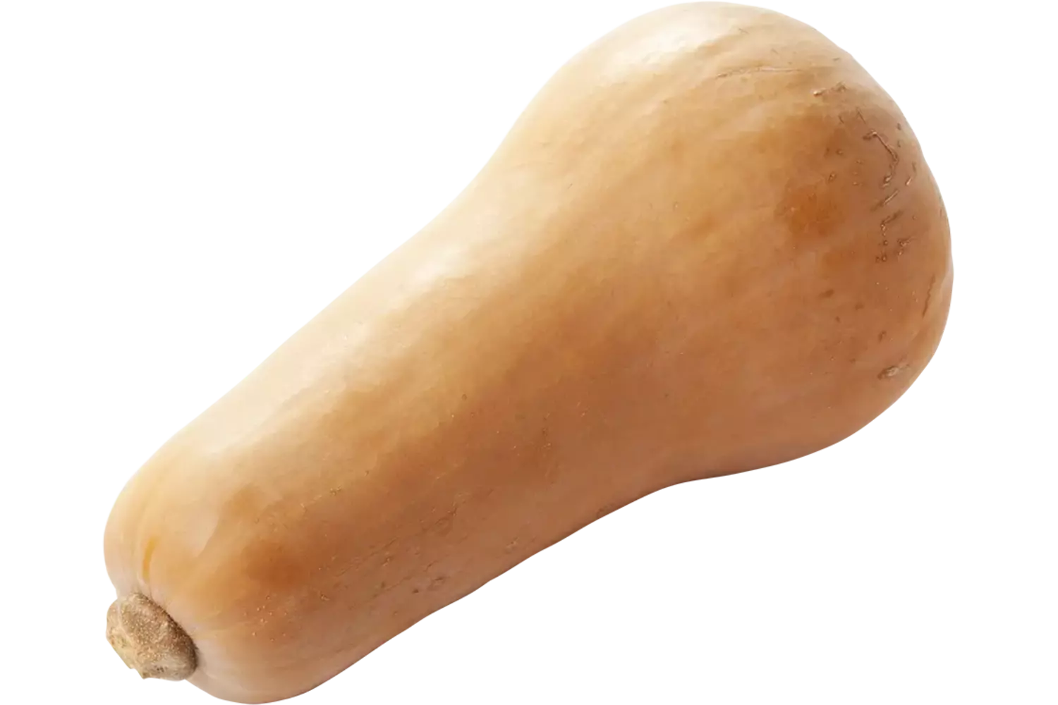 BIO Flespompoen kist 7 stuks