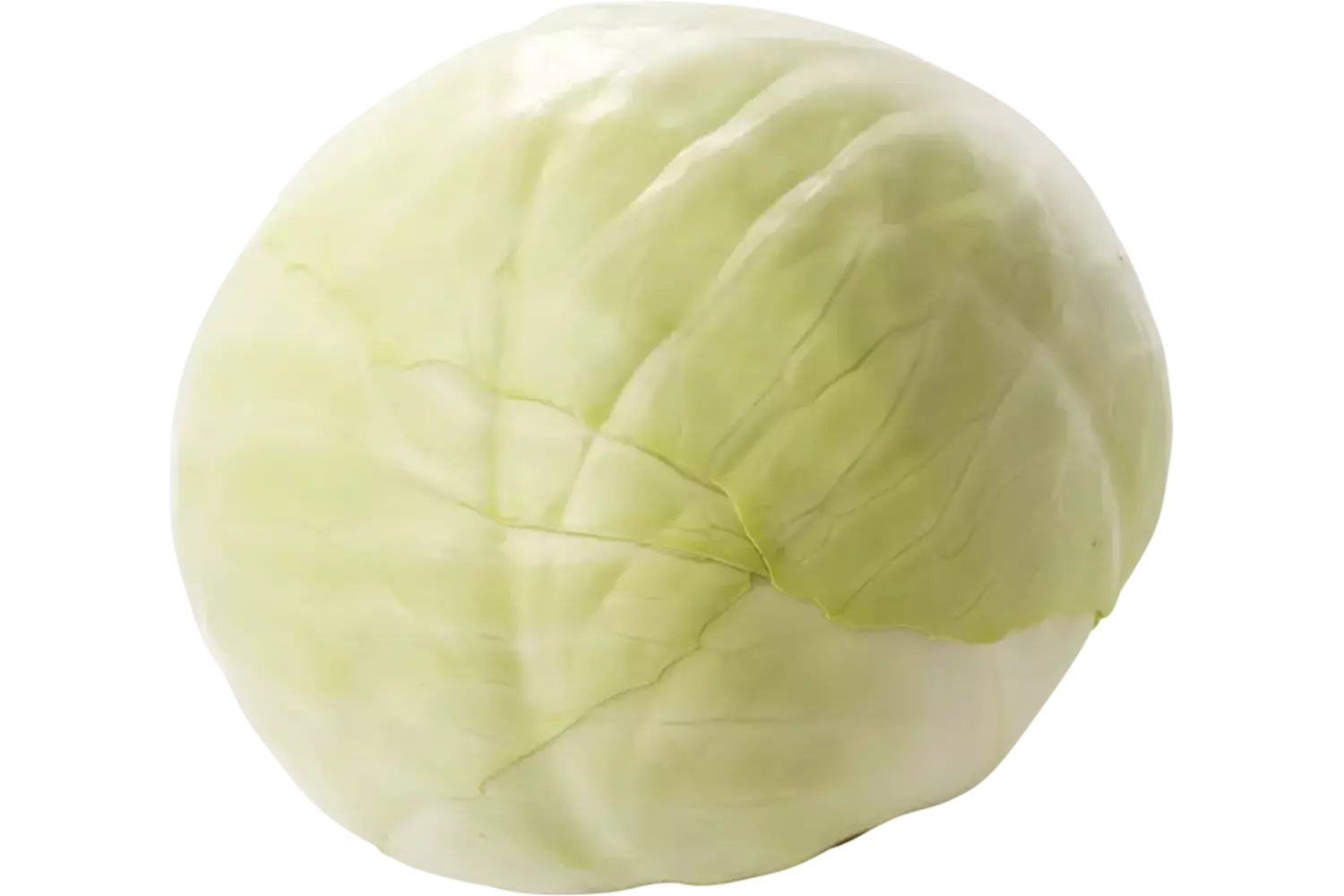 BIO Chou blanc caisse 4pc
