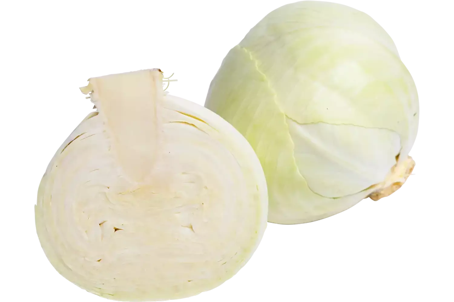 Witte kool +-- 1kg regeneratief stuk