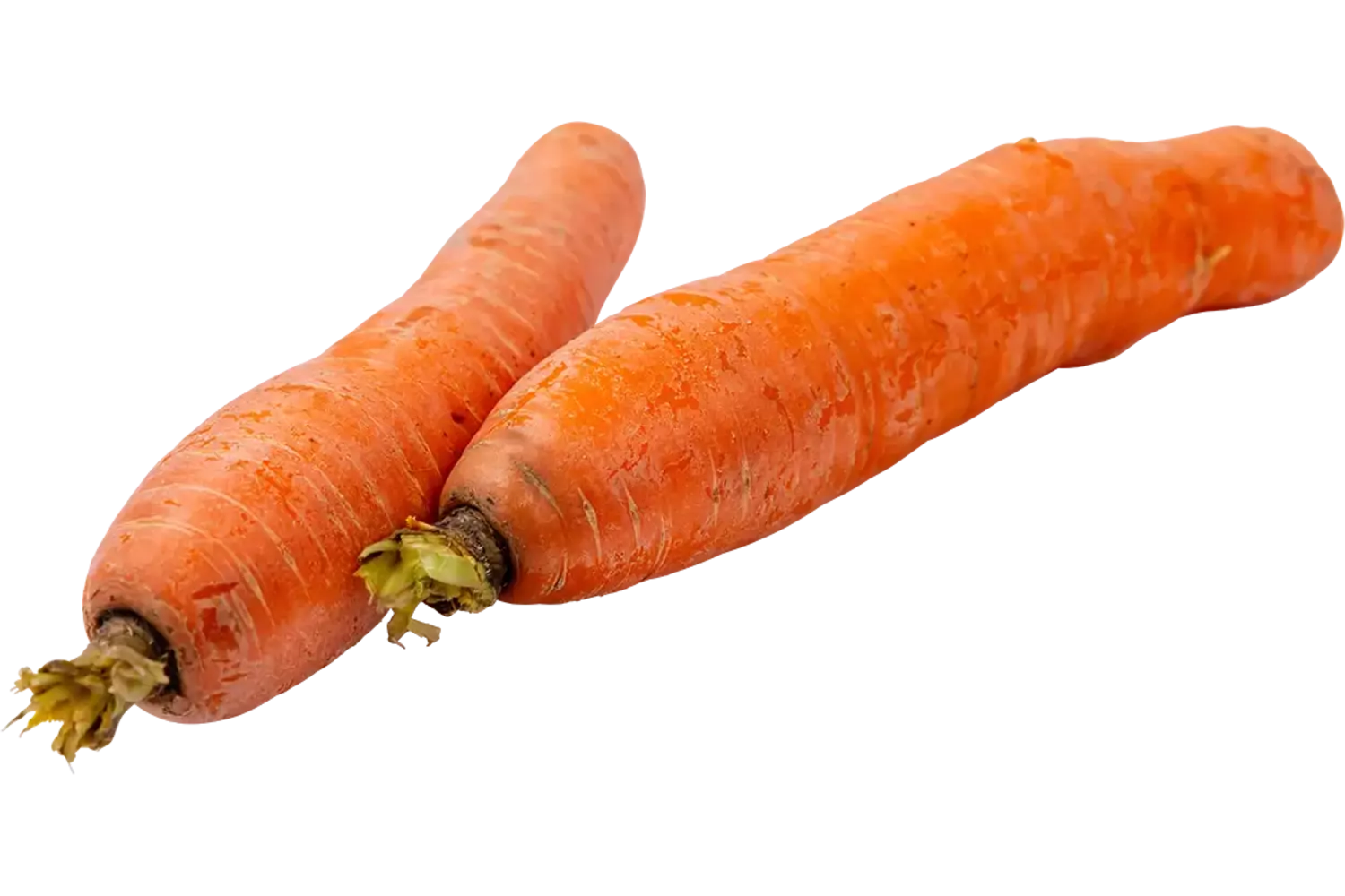 Winterpeen regeneratief kist 5 kilogram