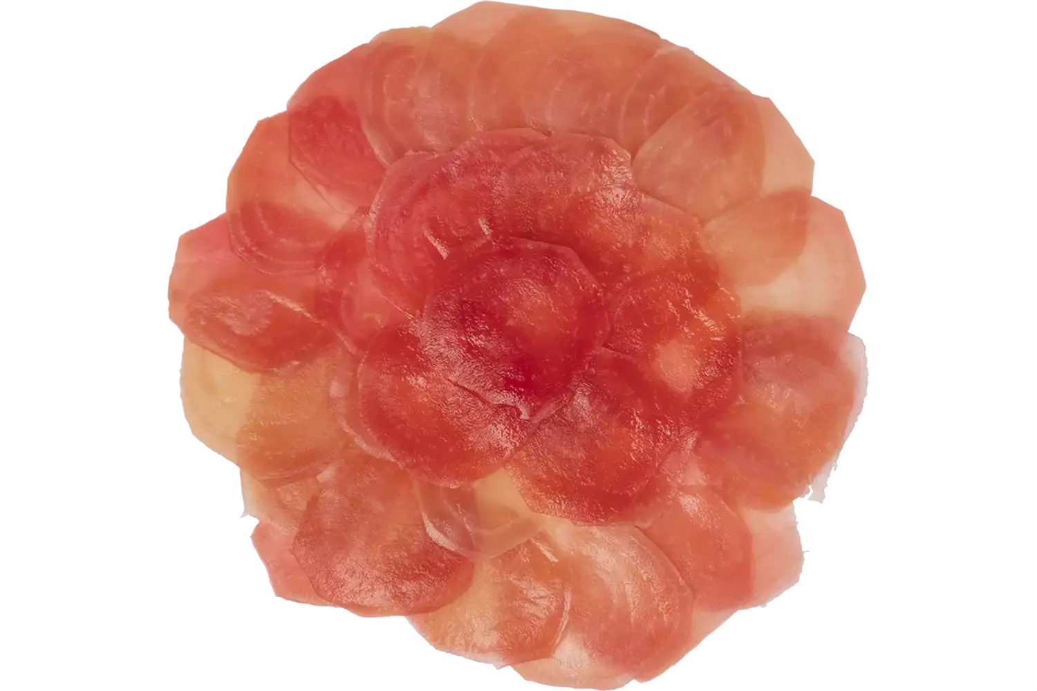 Carpaccio chioggia biet bak 200gr kist 5 stuks