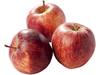 Gala appels kist 18 kilogram