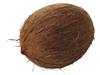 Kokosnoot kist 25 stuks