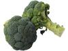 Broccoli +-- 500gr kist 12 stuks