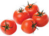 Tomaten B verpakt 1kg kist 9 stuks
