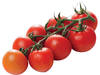 Tasty tom tomaten verpakt 500gr stuk