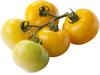 Tomaten geel verpakt 1kg kist 5 stuks