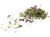 Micro leaves salad mix 30gr. kist 12 stuks