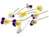 Cornabria Blossom (+--50 bloemen a 2,5g) kist 8 stuks